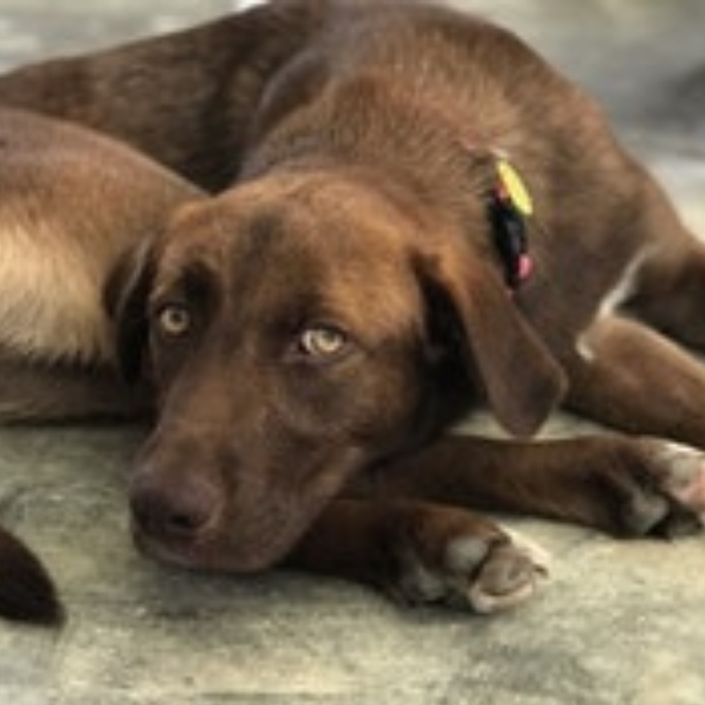 Meet your Posher, Lillian